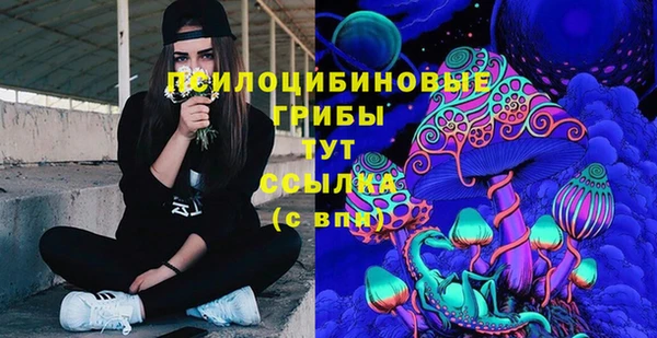 молекула духа Касимов