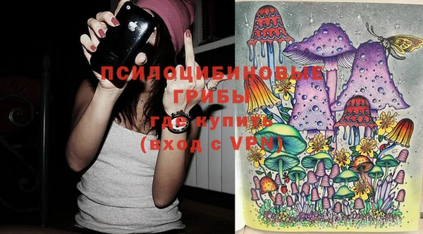 бошки Каменск-Шахтинский