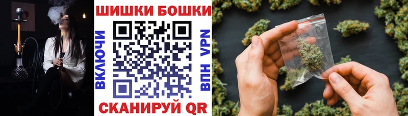 Канабис OG Kush Белокуриха